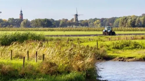 Landschap