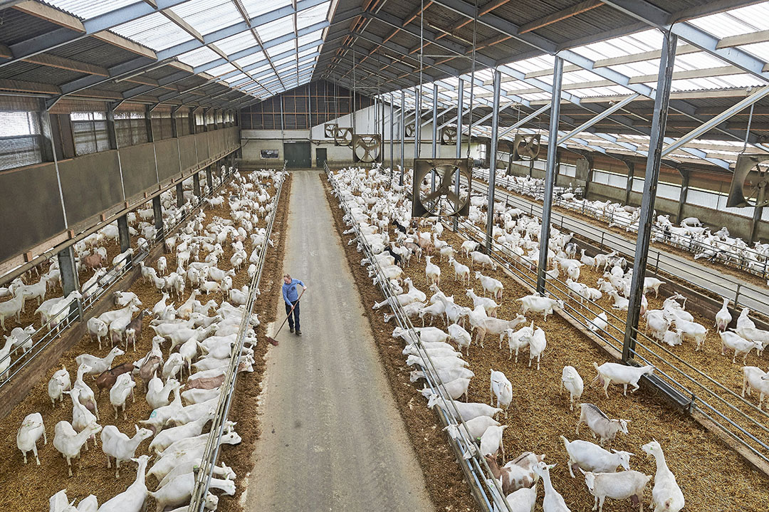 Nader onderzoek geiten en wonen