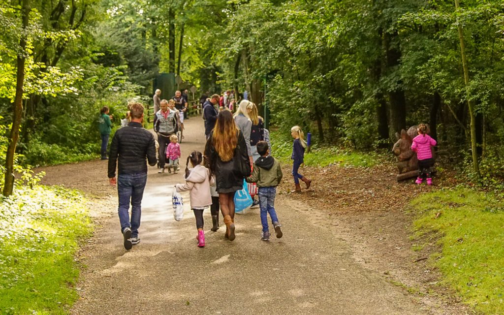 Terugblik op 2022-2026: Behoud het Panbos!