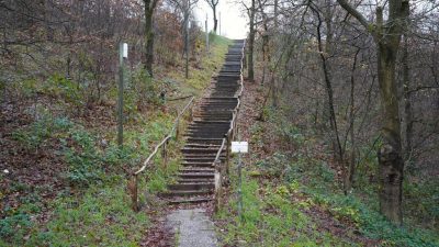 EK Veldrijden 2026 - Trap in Zeddam