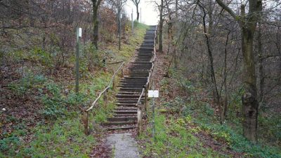 EK Veldrijden 2026 - Trap in Zeddam