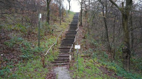 EK Veldrijden 2026 - Trap in Zeddam