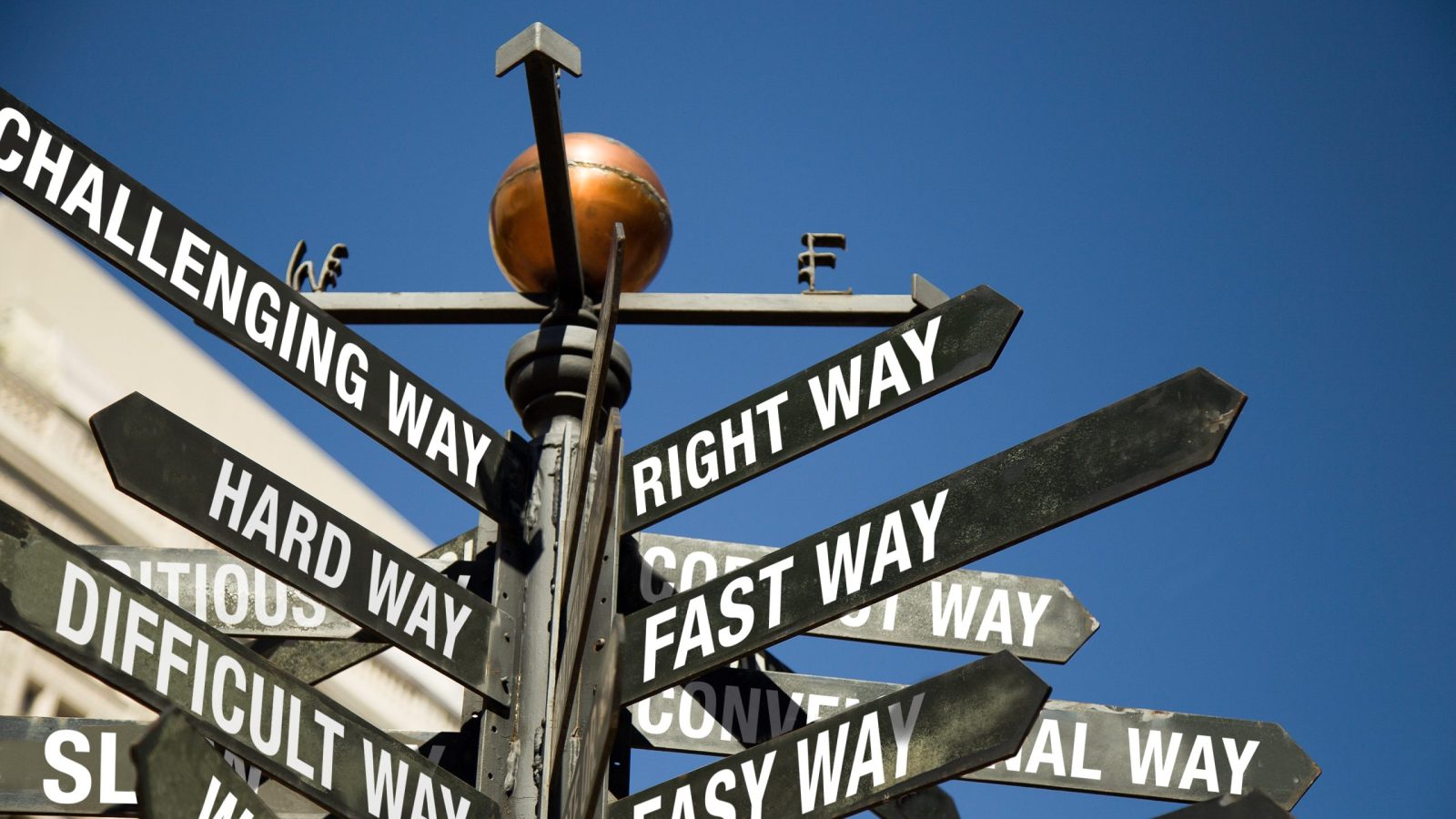 VVD Wegwijs Find your way