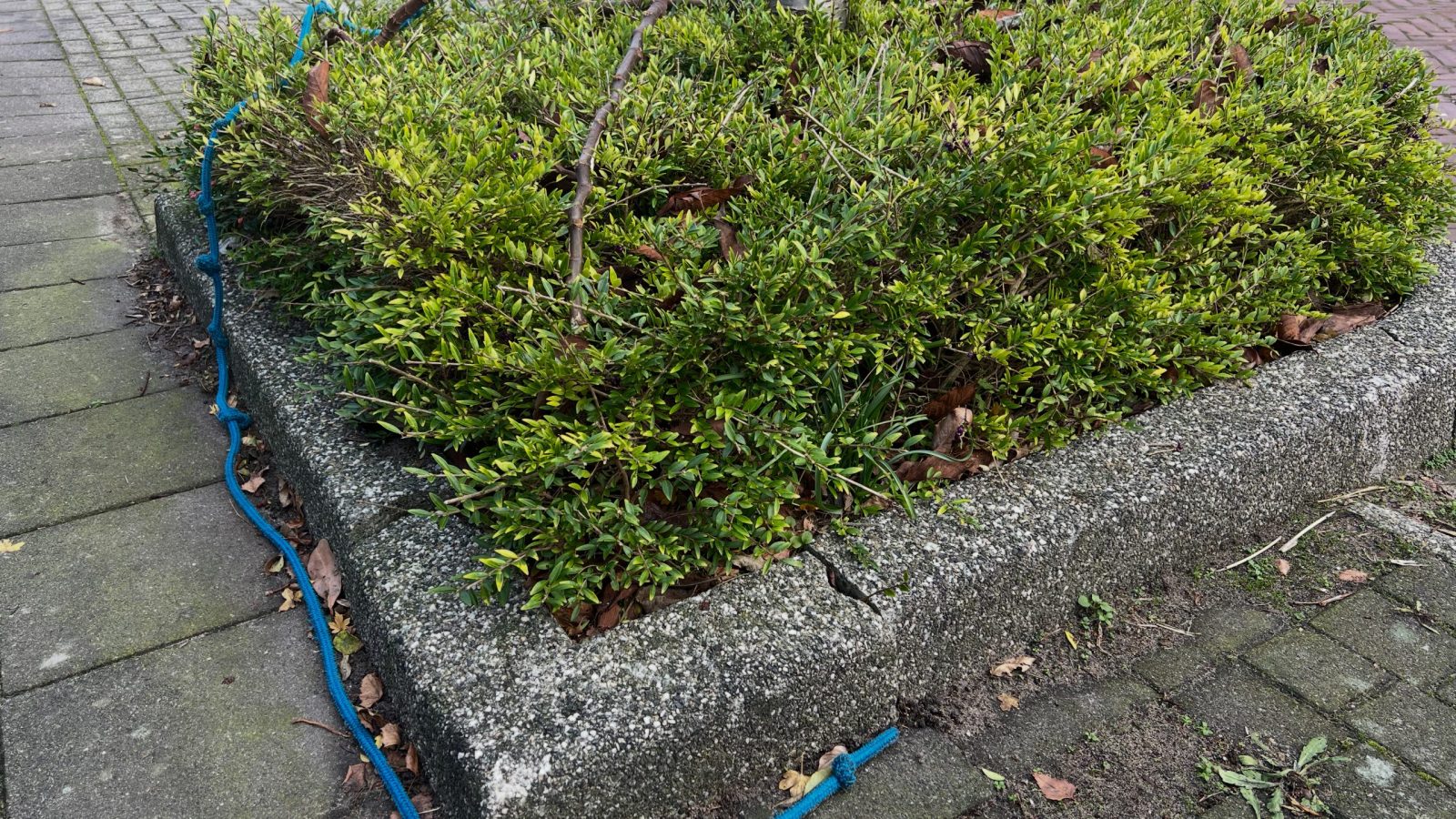 VVD afbeelding rommel op straat