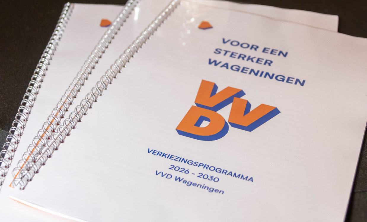 Verkiezingsprogramma