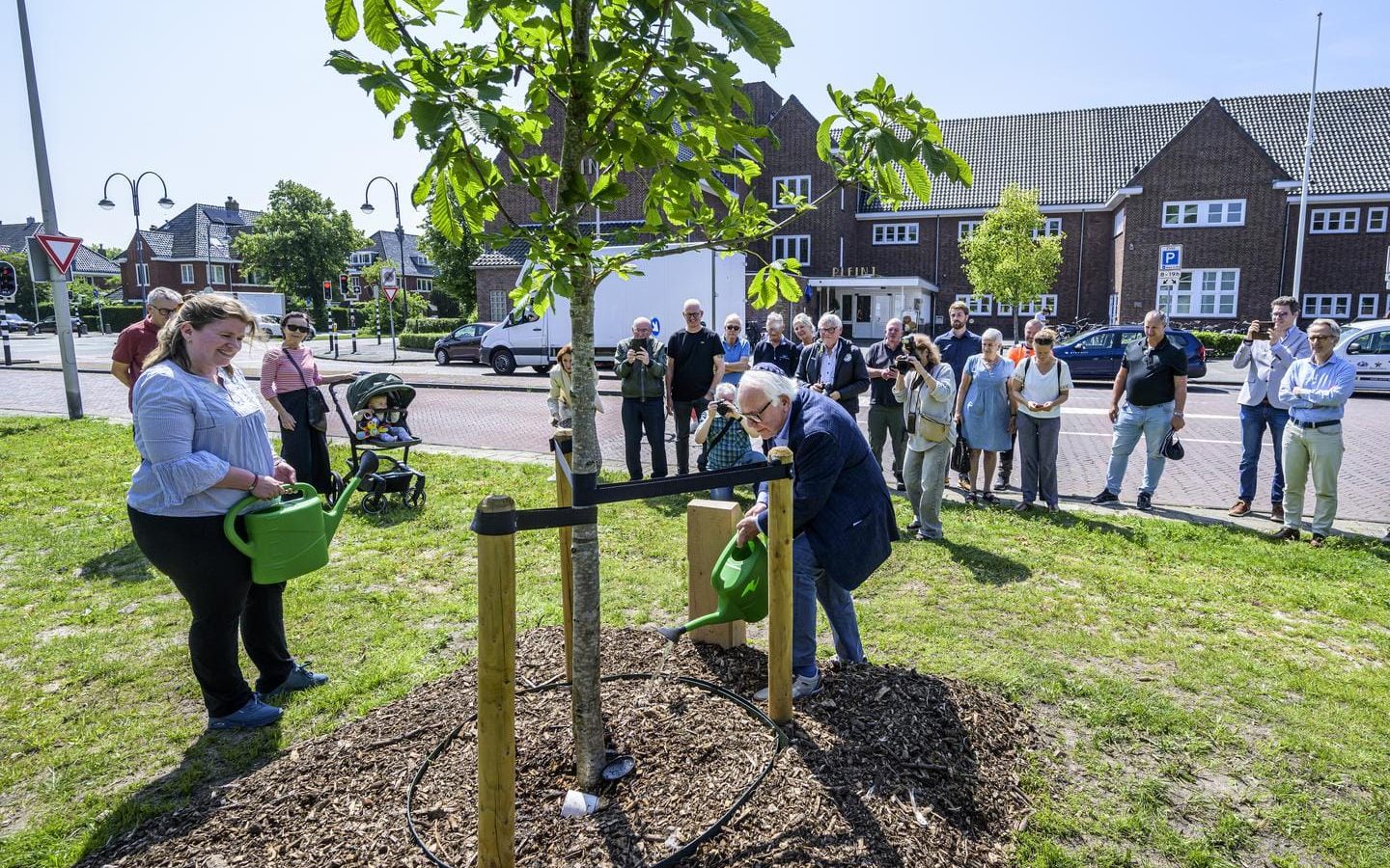 Anne Frankboom in Heemstede