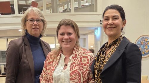 Commissie samenleving vrouwen