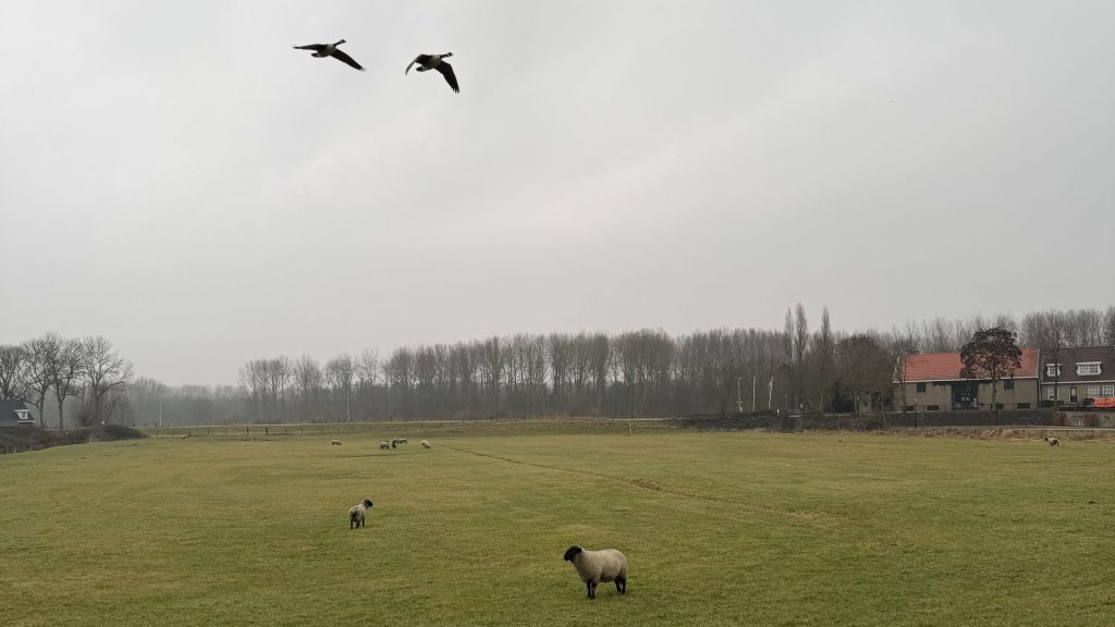 Motie tegen windturbines in Albrandswaard unaniem aangenomen