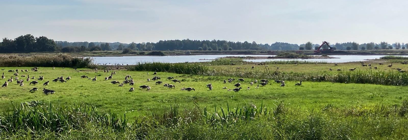 VVD Brabantse Delta